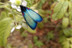 IMG_20211008_111952