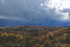 20211031_154401_HDR