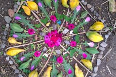 IMG_20211101_130302