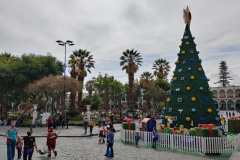 20211212_150014_HDR
