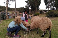 IMG_20211208_164948