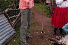 IMG_20211210_161920