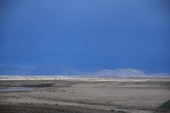 DSC_0089