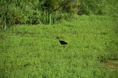 DSC_0100