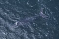 IMG-20220103-WA0005