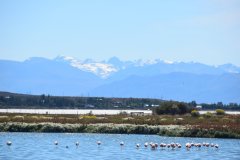El Calafate