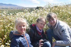 El Calafate