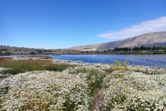 El Calafate