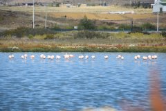El Calafate