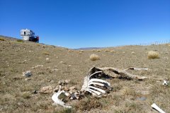 Patagonie