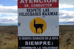 Patagonie