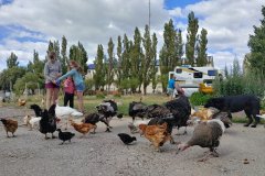 Patagonie
