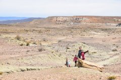 Patagonie Campervan