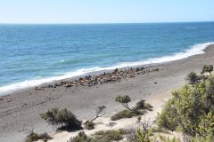 Puerto Piramides