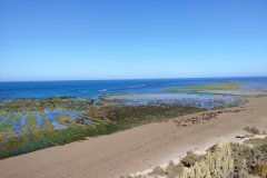Puerto Piramides