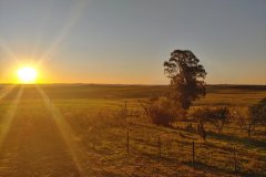 Estancia BIchadero