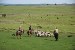 Estancia BIchadero