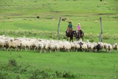 Estancia BIchadero