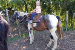 Estancia BIchadero