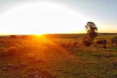 Estancia BIchadero