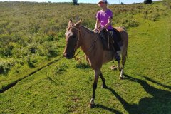 Estancia BIchadero