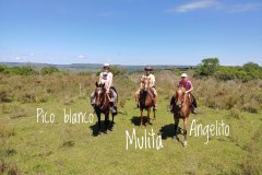 Estancia BIchadero