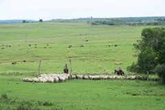 Estancia BIchadero