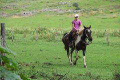 Estancia BIchadero
