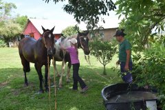 Estancia BIchadero