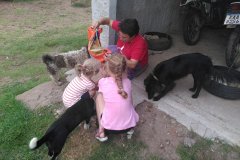Estancia BIchadero