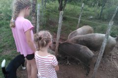 Estancia BIchadero