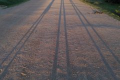IMG_20220330_181656