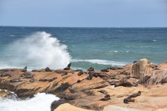 Barra de Valizas