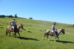 Estancia BIchadero