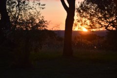 Estancia BIchadero