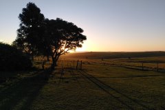 Estancia BIchadero