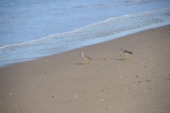 Barra de Valizas