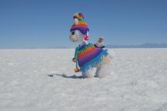 20220514_121334-01