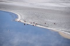Tour Sud-Lipez Uyuni