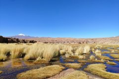 Tour Sud-Lipez Uyuni
