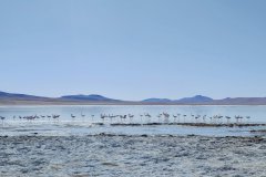 Tour Sud-Lipez Uyuni