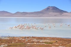 Tour Sud-Lipez Uyuni