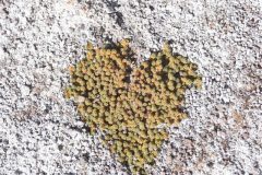 Tour Sud-Lipez Uyuni