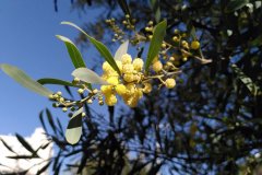 IMG_20220527_152258