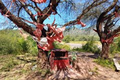 Salta Jujuy Camper Van