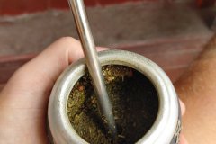 Salta