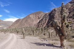 Salta Jujuy Camper Van