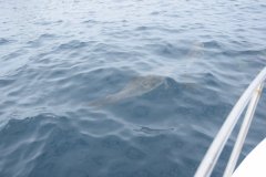 Puerto Lopez