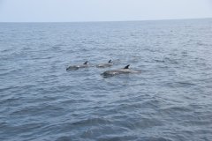Puerto Lopez