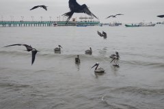 Puerto Lopez